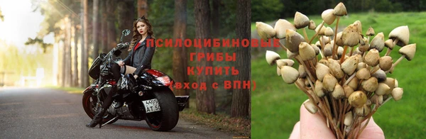 меф Надым