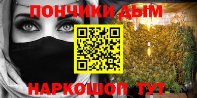 стаф Гатчина