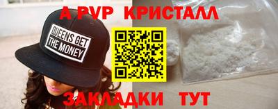 стаф Гатчина