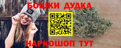 стаф Гатчина