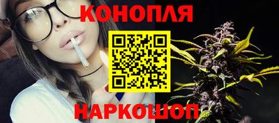 spice Гай