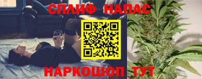 бошки Гагарин
