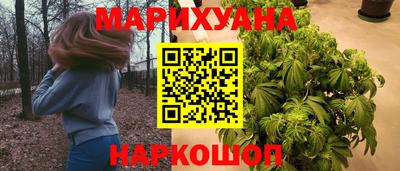 стаф Гатчина