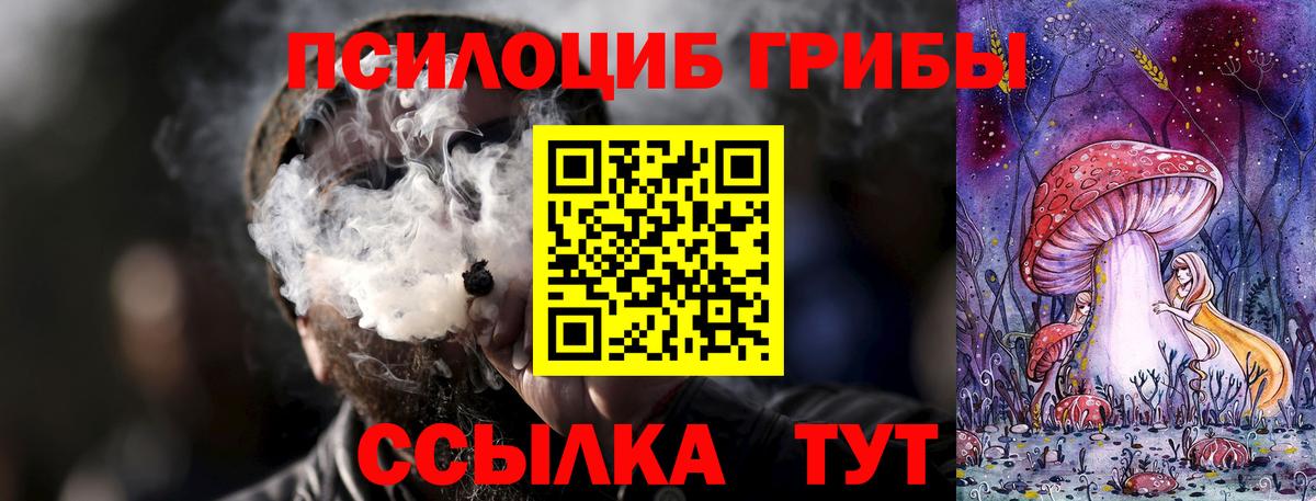купить наркоту  Псилоцибиновые грибы Psilocybe  Вход с VPN  Краснознаменск 